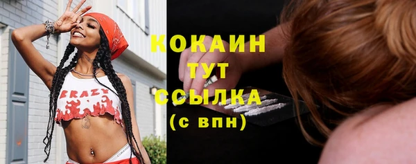 индика Пролетарск